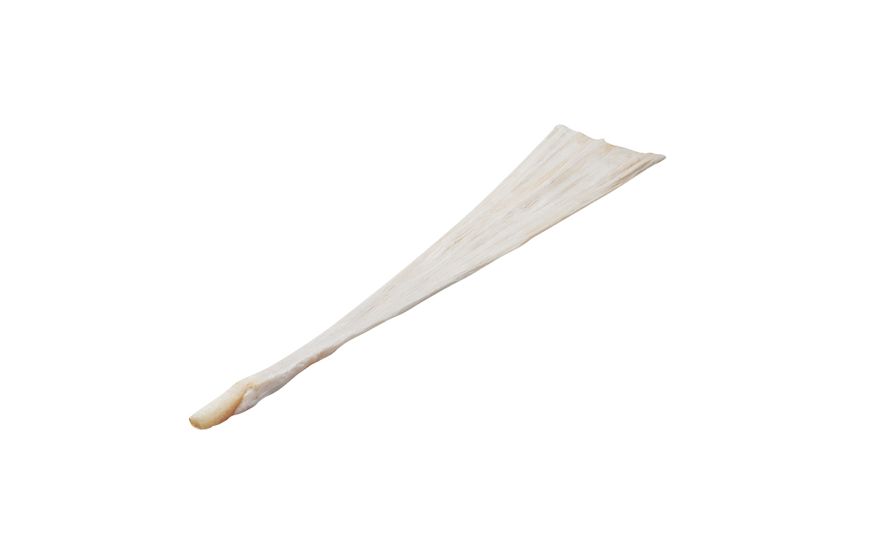 PreShaped Achilles Origin Biologics