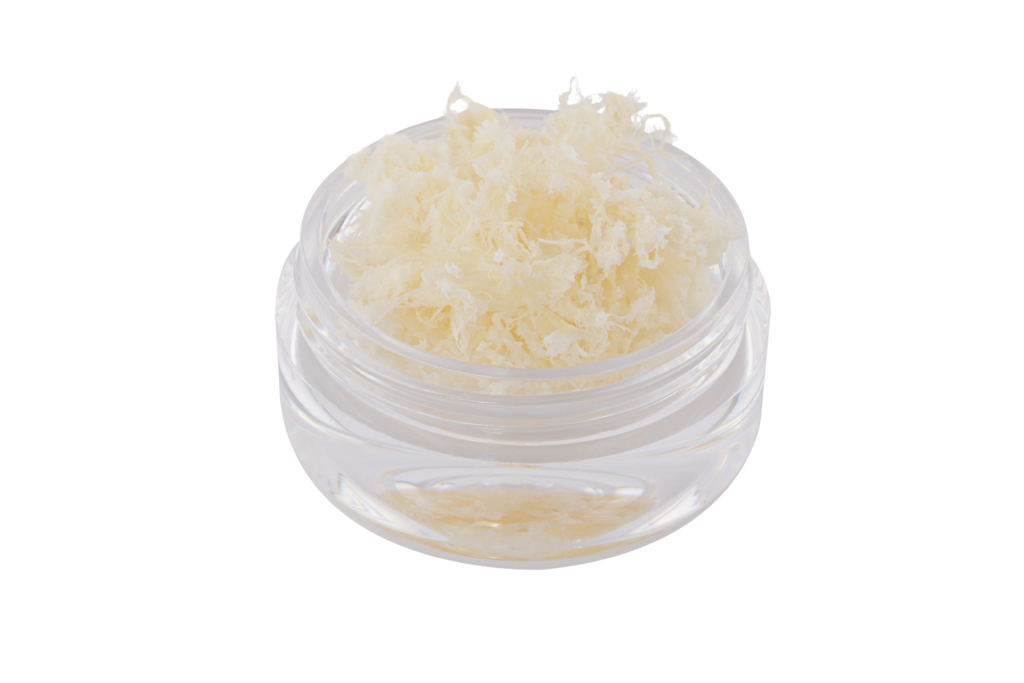 Fiber Origin Biologics